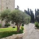 Haifa3