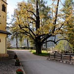 Segonzano6